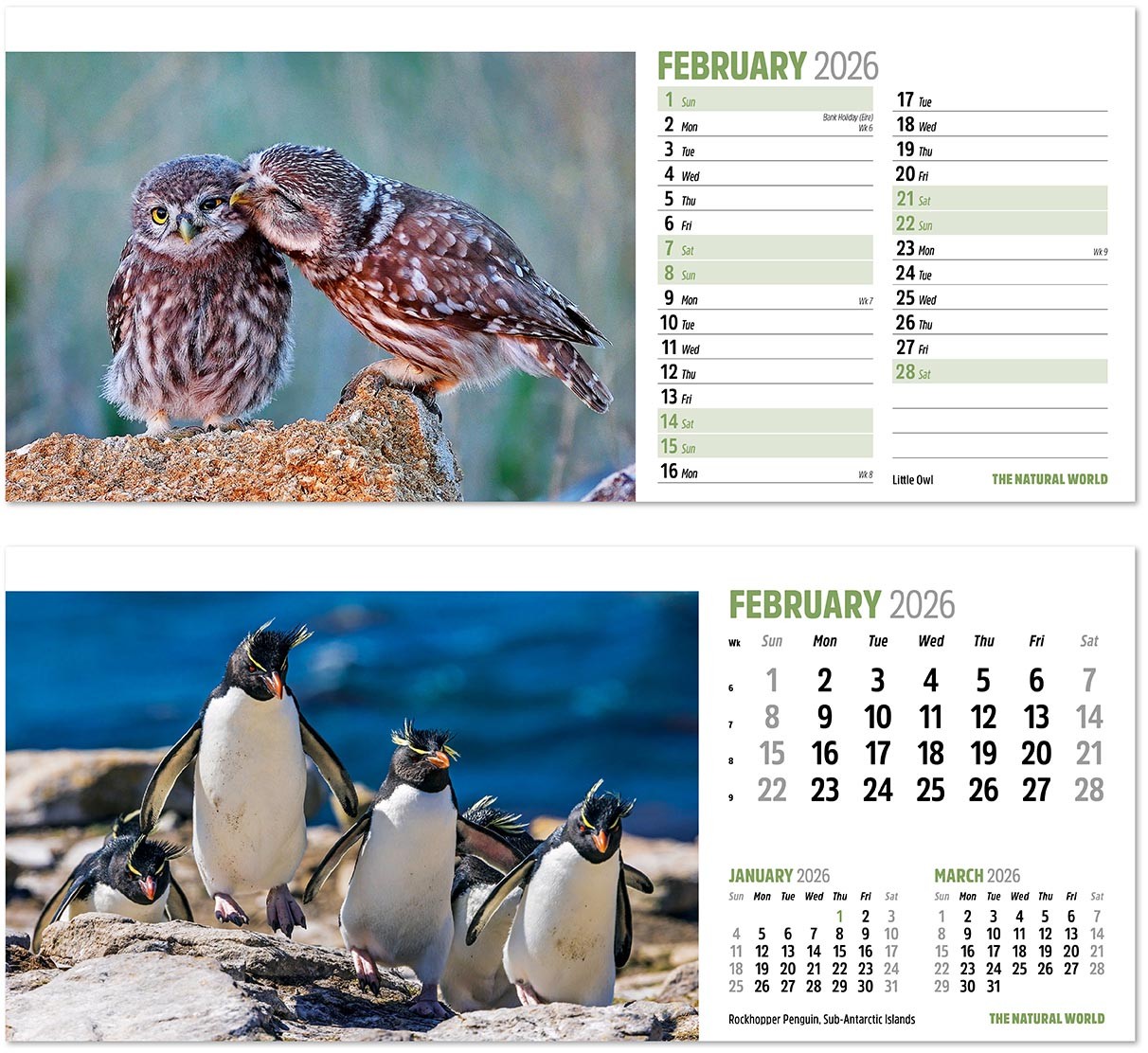 The Natural World Desk Calendar