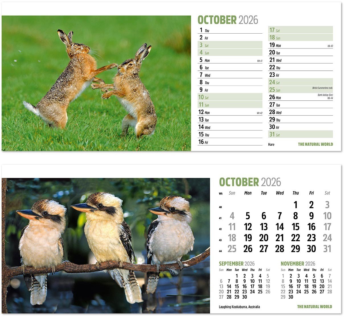 The Natural World Desk Calendar