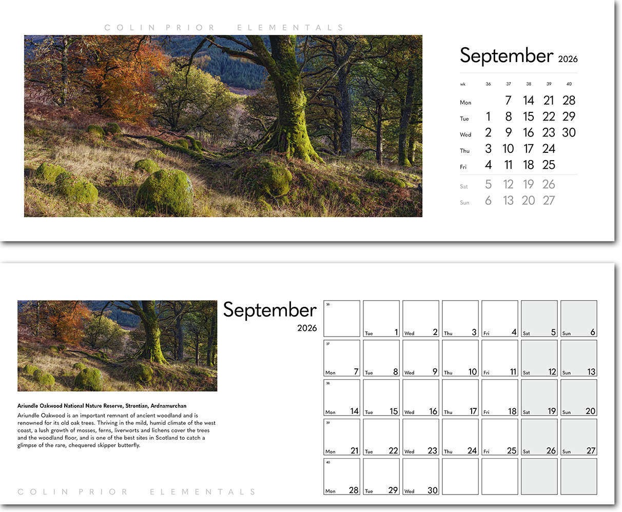 Colin Prior Elementals Premium Lined Easel Desk Calendar