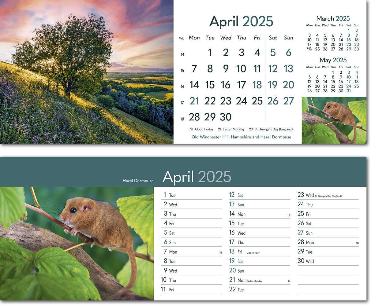 Rural Britain Note Station Desk Calendar 