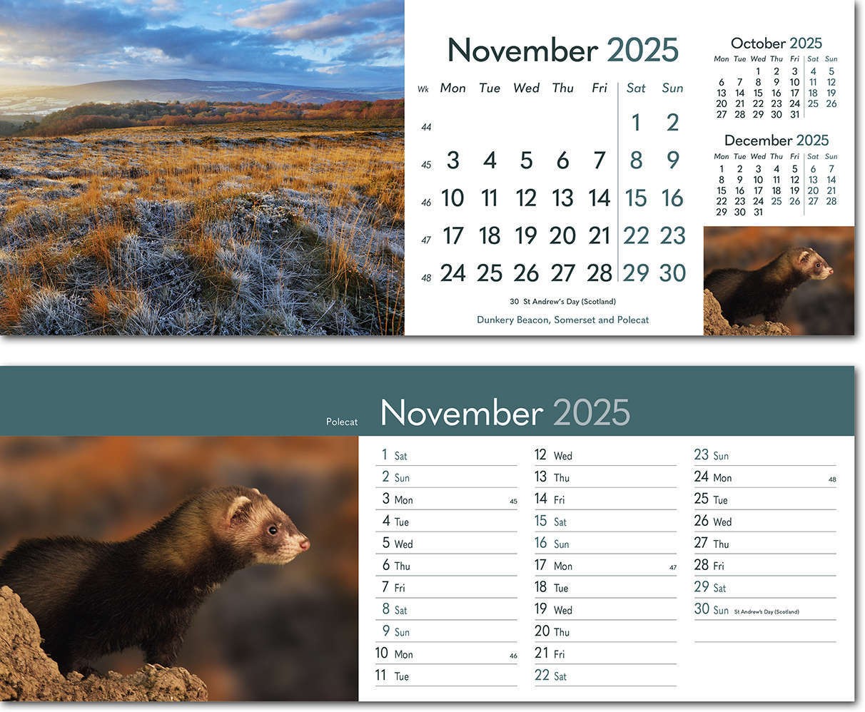 Rural Britain Task Station Desk Calendar