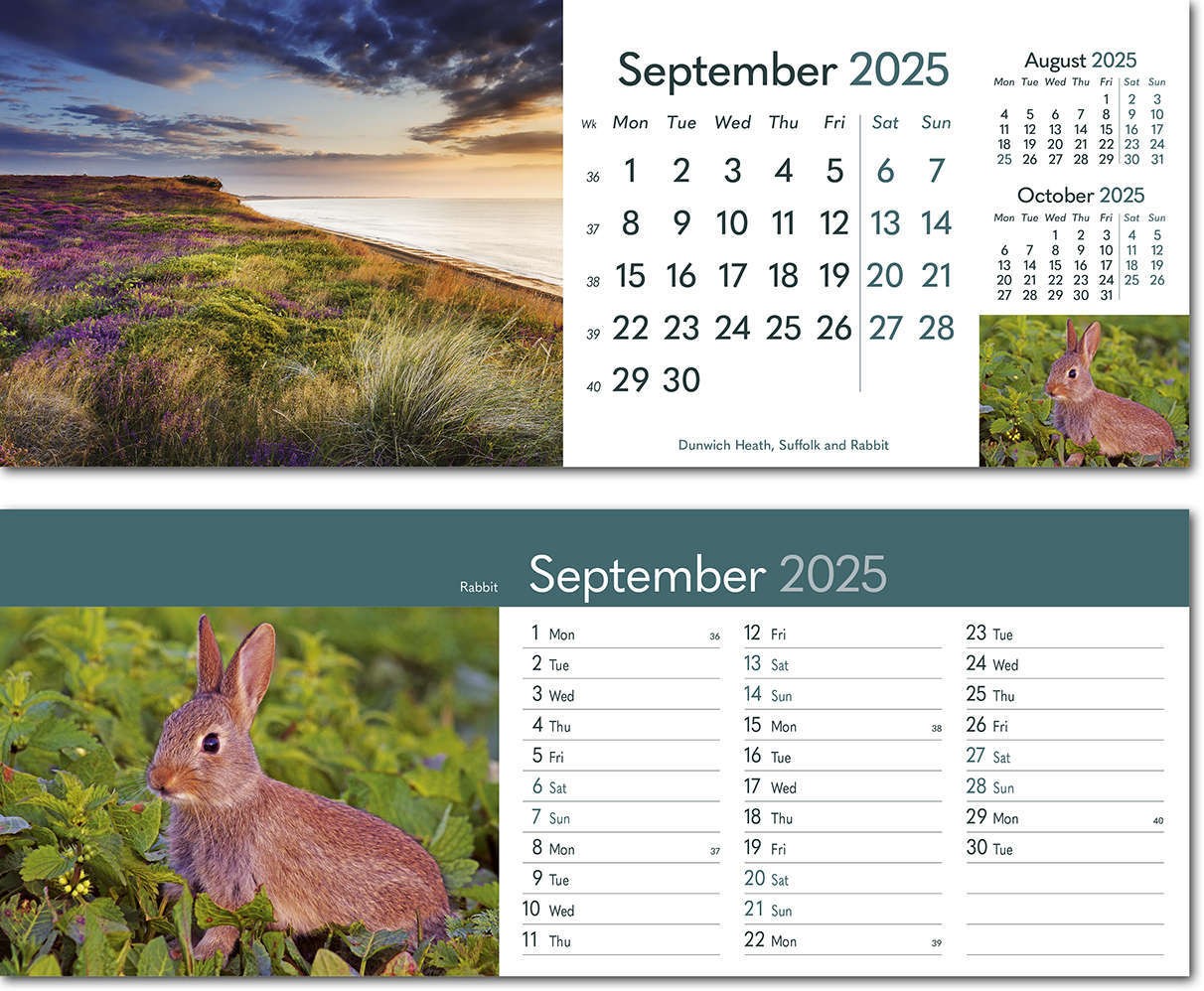 Rural Britain Task Station Desk Calendar