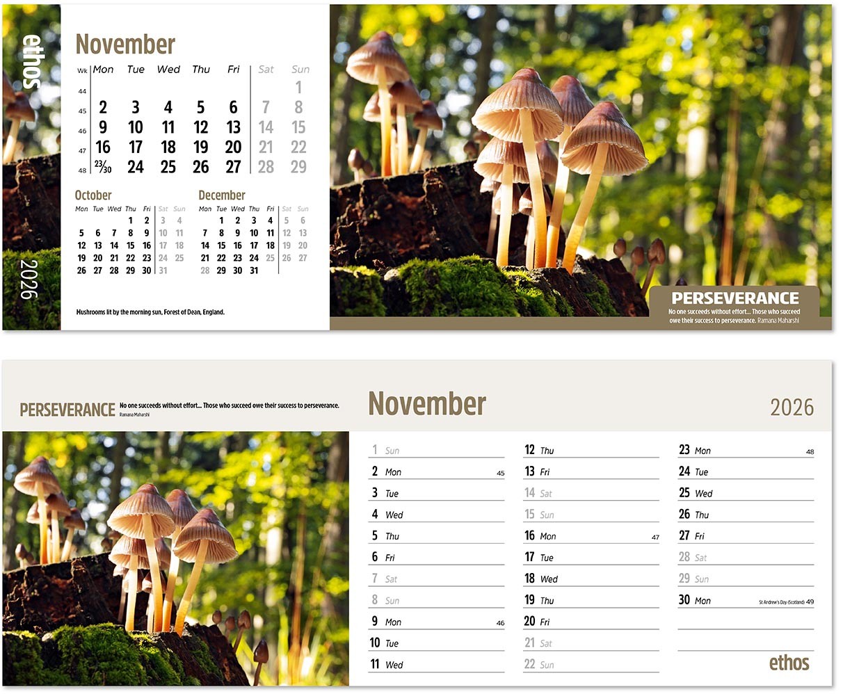 Ethos Desk Calendar