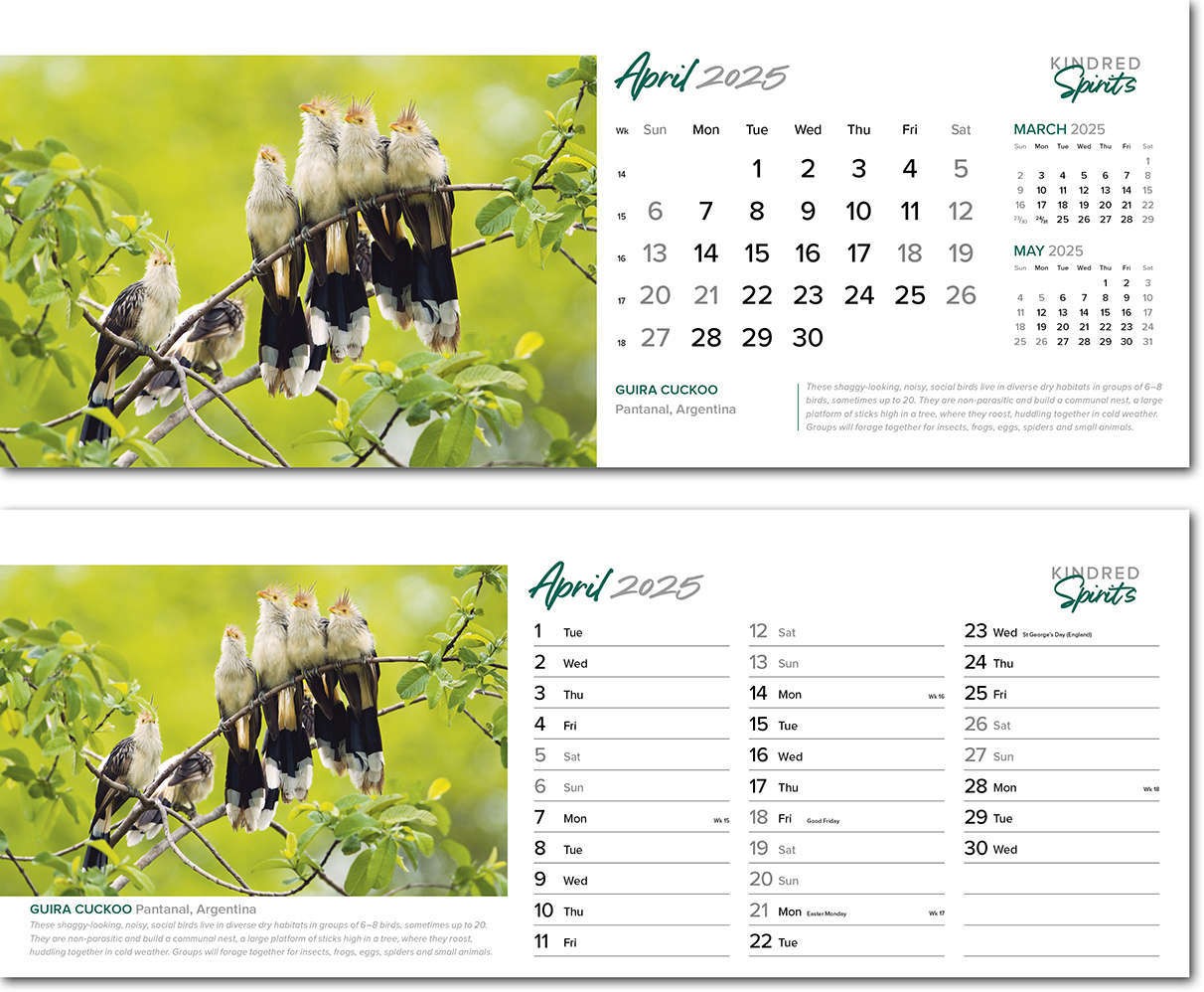 Kindred Spirits Task Station Desk Calendar