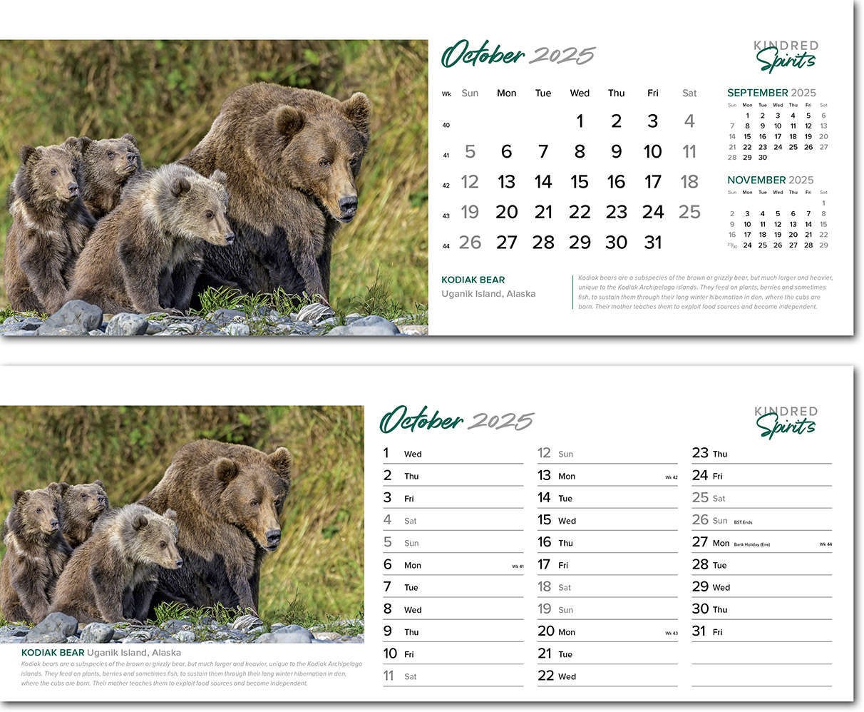 Kindred Spirits Task Station Desk Calendar