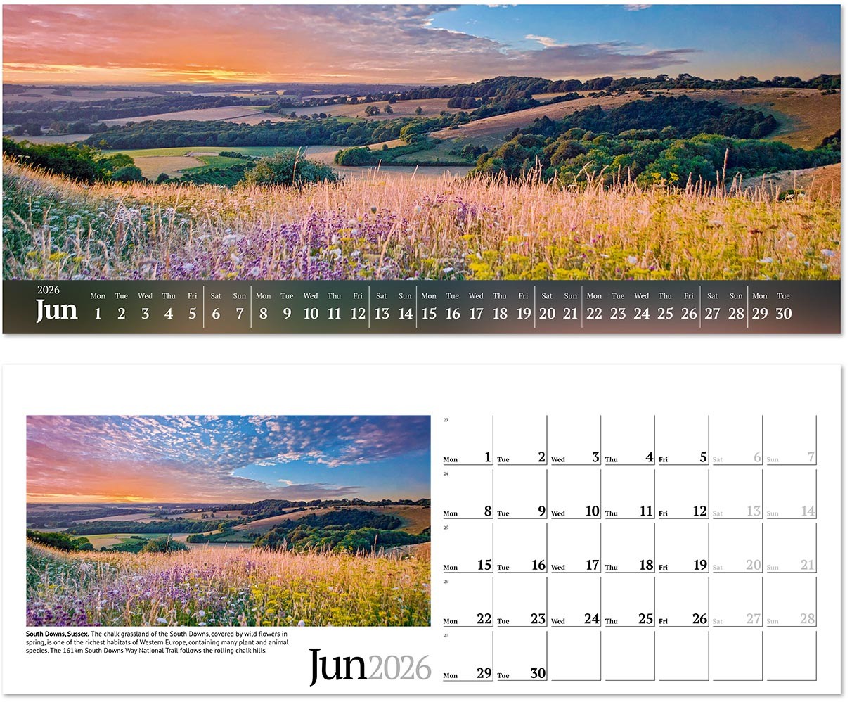 Wild Britain Desk Calendar