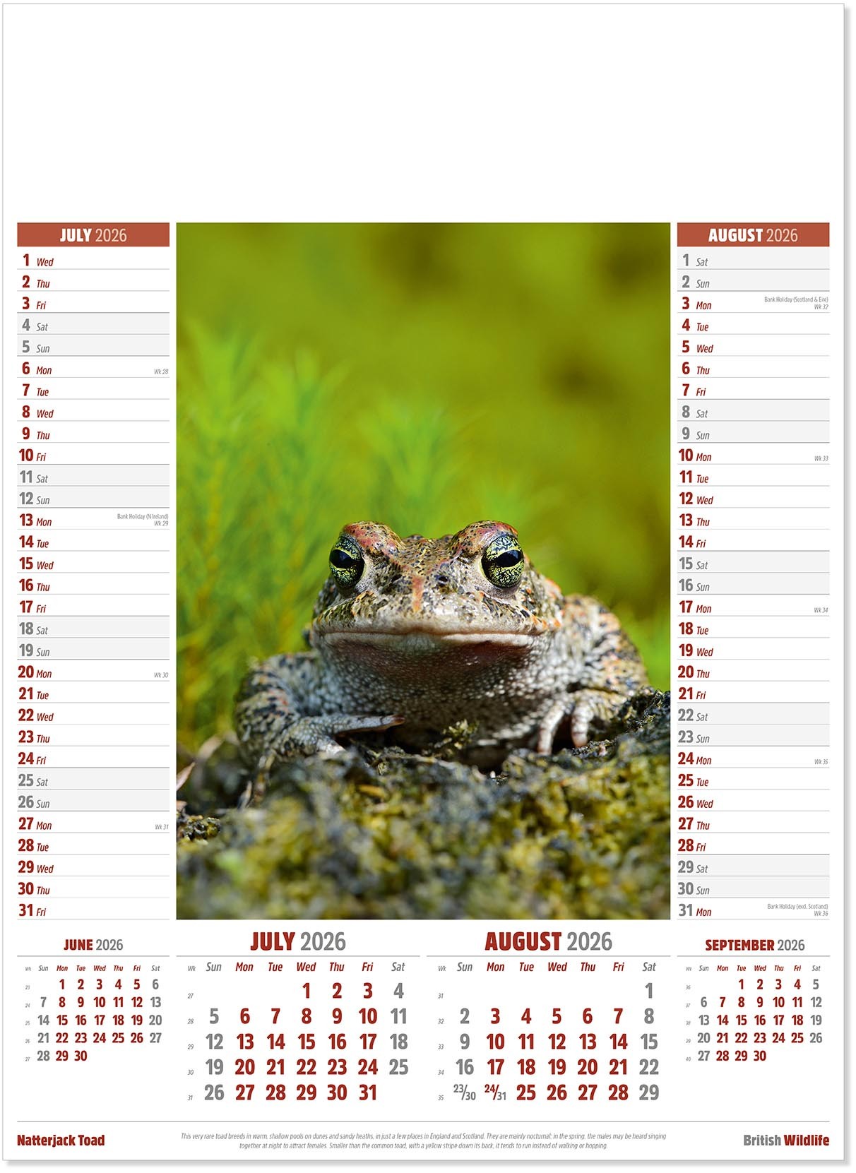 British Wildlife Calendar