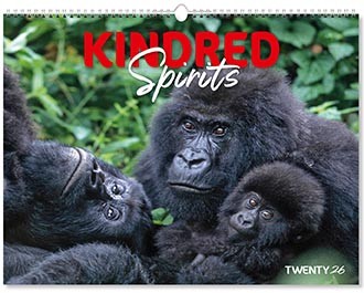 Kindred Spirits Calendar