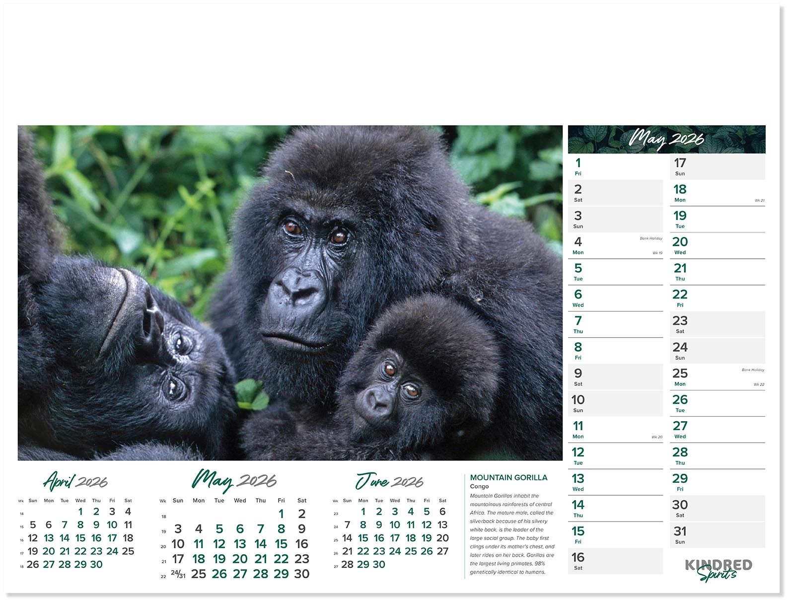 Kindred Spirits Calendar