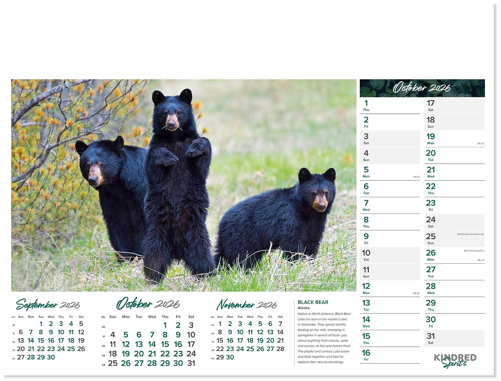 Kindred Spirits Calendar